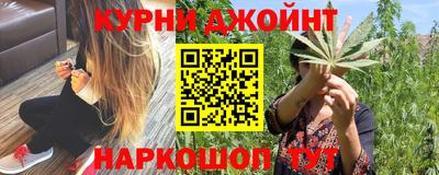 прущие грибы Будённовск