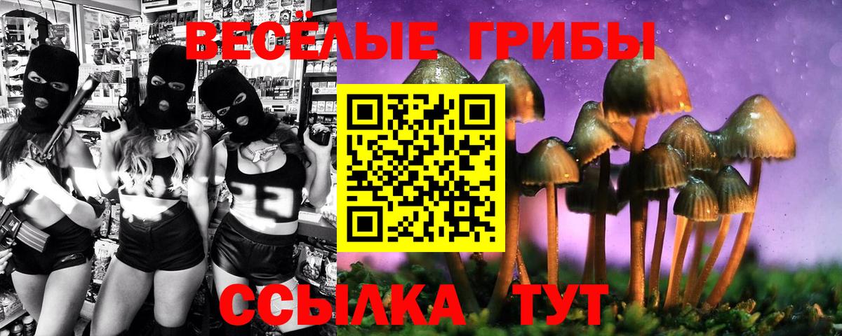 Слободской  Галлюциногенные грибы прущие грибы  Вход с VPN 